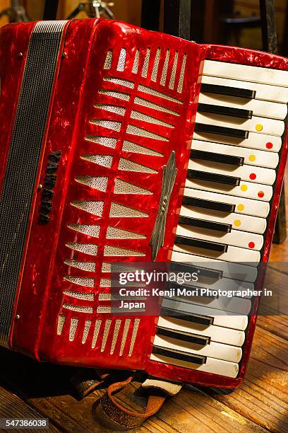 accordion - bandoneon bildbanksfoton och bilder