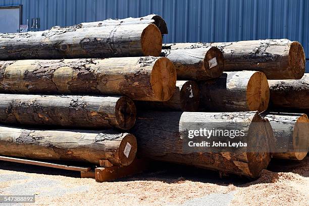 Colorado Timberframe Photos and Premium High Res Pictures - Getty Images