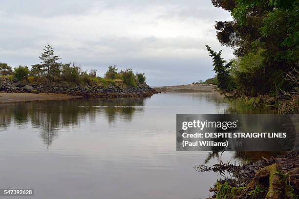 where the river greets the sea - river jordan stock pictures, royalty-free photos & images