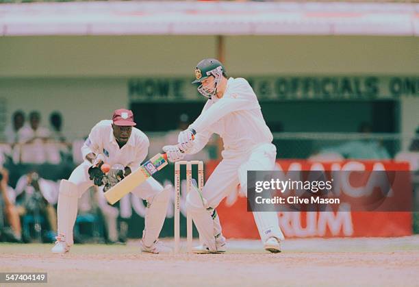 Australian cricketer Steve Waugh during the 4th Test Match between the West Indies and Australia in Jamaica, May 1995.