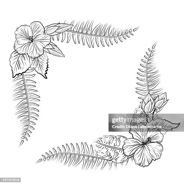 black and white tropical hibiscus floral frame - adult coloring pages nature stock illustrations