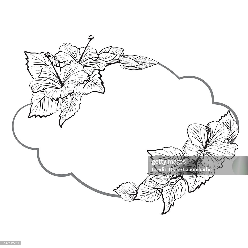 Black and White Tropical Hibiscus Floral Frame