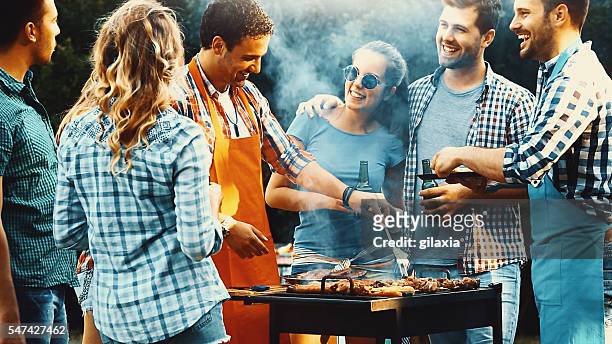 barbecue party. - barbecue social gathering stock pictures, royalty-free photos & images