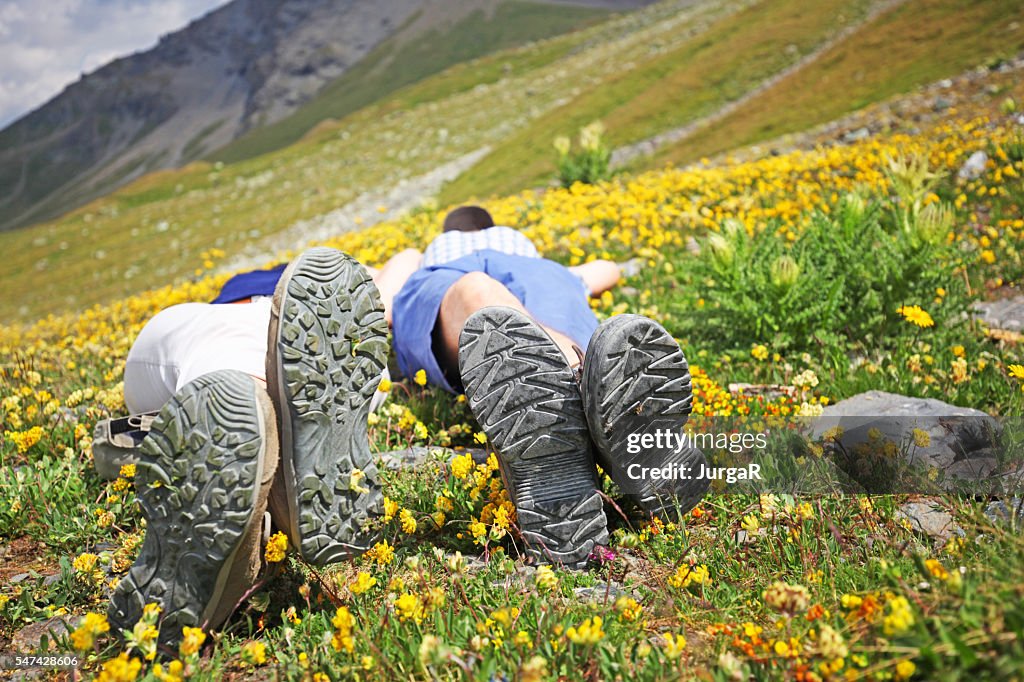 Wanderpaar liegt auf alpenländischer Wildblumenwiese in schweizer Bergen