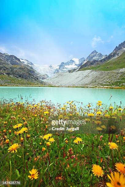 lake chateaupre at the moiry glacier in swiss mountains - swiss alps summer stock pictures, royalty-free photos & images