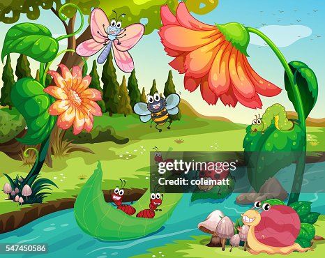 Insects Near Rivers Many Insects Living By The River High-Res Vector Graphic - Getty Images