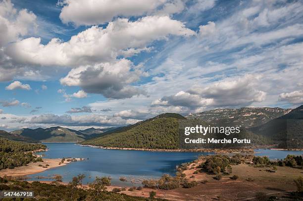 swamp. dam in cazorla. embalse del tranco - cazorla stock pictures, royalty-free photos & images