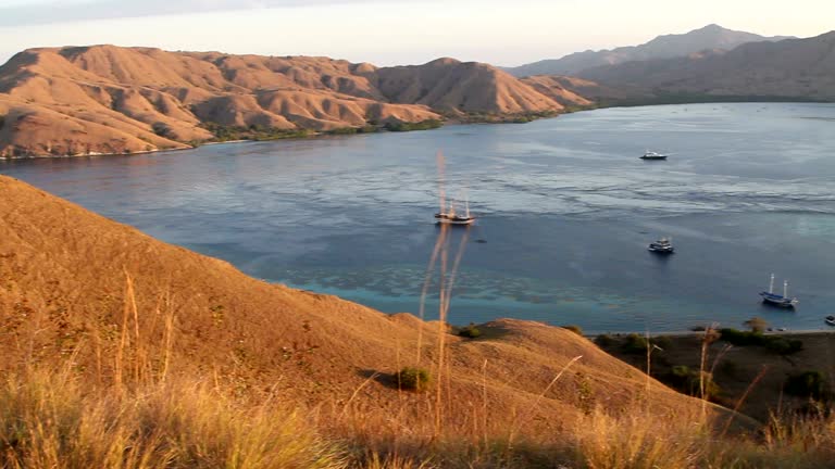 Taleus Sunda 111 Sunda Island Stock Videos, Footage, & 4K Video Clips - Getty Images