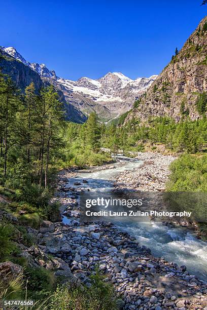 mountain landscape - laura zulian stock pictures, royalty-free photos & images