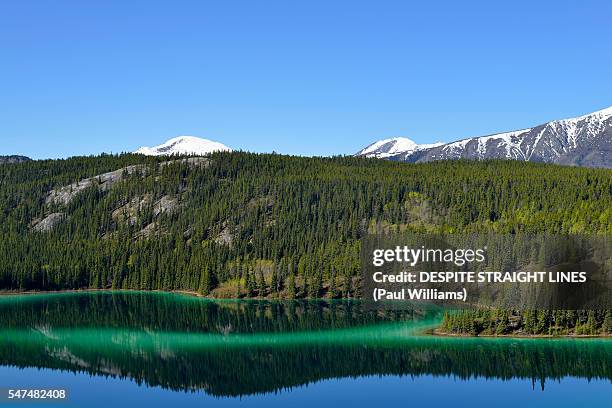 emerald lake, yukon territory - emerald lake stock pictures, royalty-free photos & images