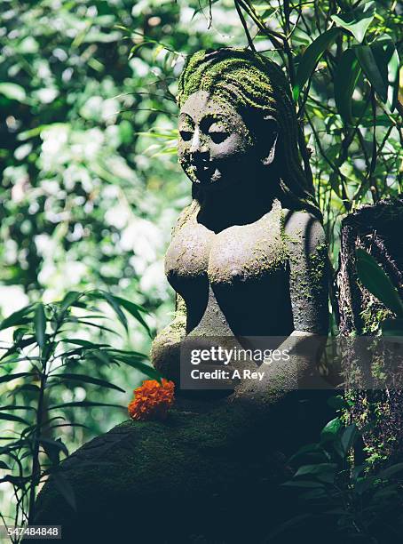 garden goddess - bali women tradition head stock pictures, royalty-free photos & images