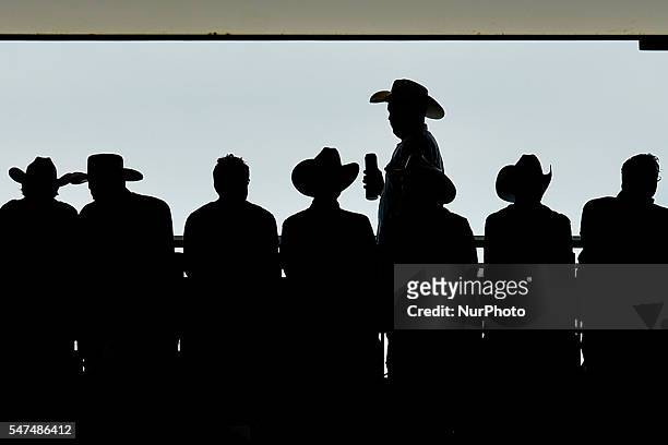 Members of the public watching the thursday's rodeo at the Calgary Stampede 2016. On Thursday, 14 July 2016, in Calgary, Canada.