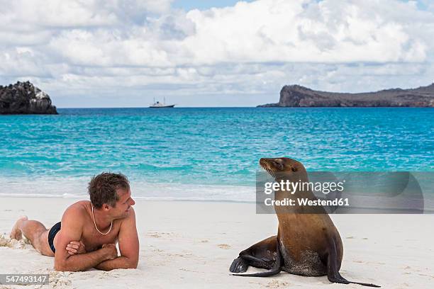 ecuador, galapagos islands, espanola, tourist and galapagos sea lion on beach - galapagosinseln stock-fotos und bilder