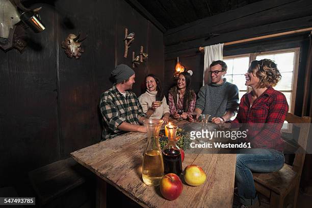 group of young people drinking in mountain hut - berghütte stock-fotos und bilder