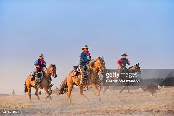 usa, wyoming, three riding cowboys and a dog - mountain range stock pictures, royalty-free photos & images
