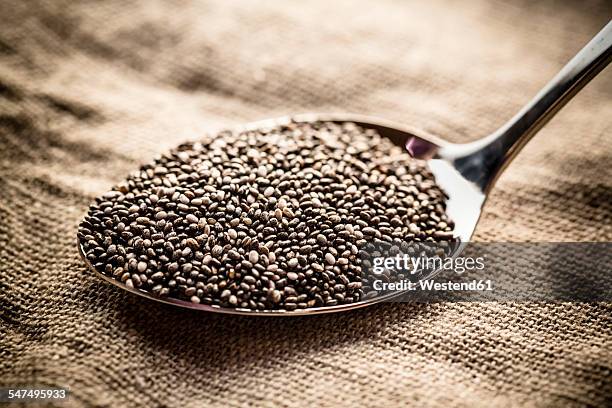 spoon of chia seeds - chiasamen stock-fotos und bilder