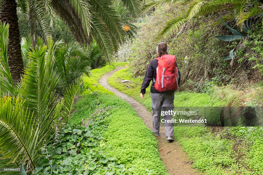 Spain, Canary Islands, La Gomera, Vallehermoso, hiker near Epina