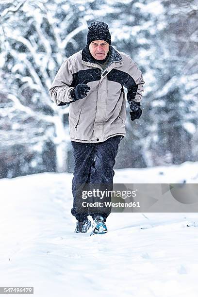 germany, baden-wuerttemberg, holzberg, senior man jogging in snow - running in deep snow stock pictures, royalty-free photos & images