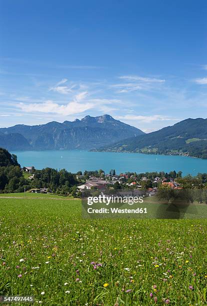 austria, seefeld, with lake attersee and schafberg - attersee stock pictures, royalty-free photos & images