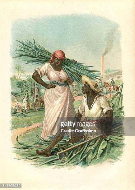 ilustraç�ões de stock, clip art, desenhos animados e ícones de couple of cuban slaves harvesting sugar cane 1880 - cana de acucar