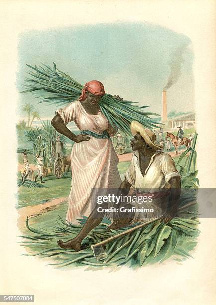 couple of cuban slaves harvesting sugar cane 1880 - cuba stock illustrations