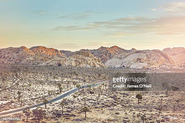 road passing through the desert - joshua tree stock pictures, royalty-free photos & images