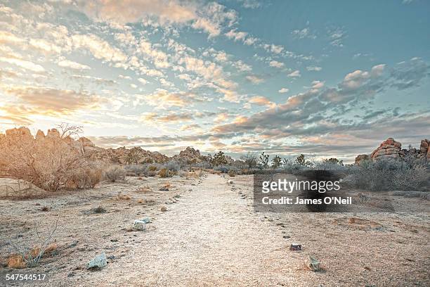 desert path at sunset - paisaje árido fotografías e imágenes de stock