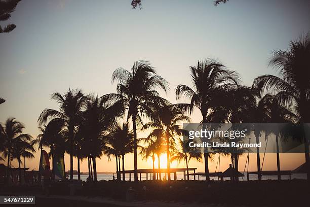 sunset in turks and caicos - providenciales stock pictures, royalty-free photos & images