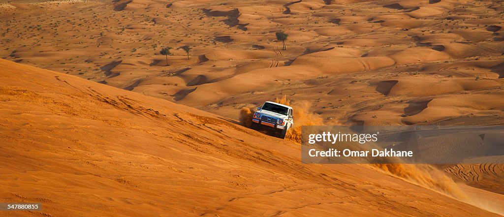 Desert bashing