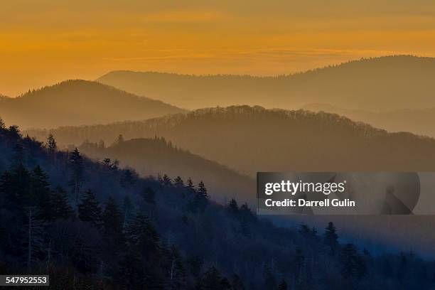 morning layering smoky mtns. newfound gap sunrise - newfound gap ストックフォトと画像