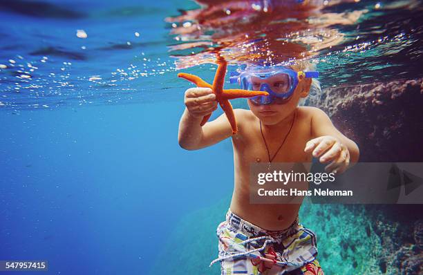 child holding a starfish, underwater view - schnorchel stock-fotos und bilder