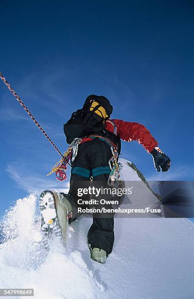 Summitting Photo 213 Summiting Mountain Stock Photos, High-Res Pictures, and Images ...