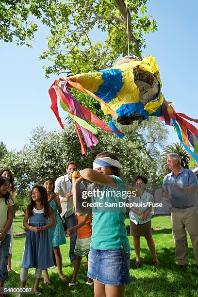 105 Piñata Swing Stock Photos, High-Res Pictures, and Images - Getty Images
