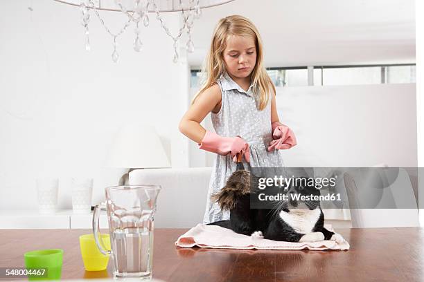 girl at home cleaning cat on dining table - kids with cleaning rubber gloves stock-fotos und bilder