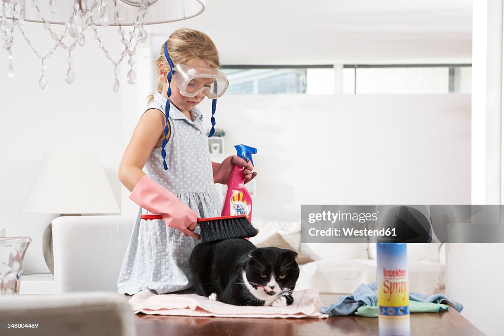 Girl with diving goggles cleaning cat on dining table