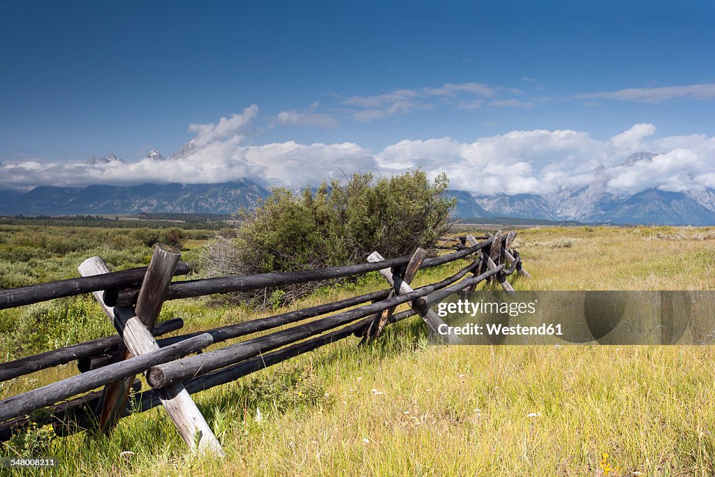 USA, Wyoming, Grand Teton National Park, wooden fence on meadow