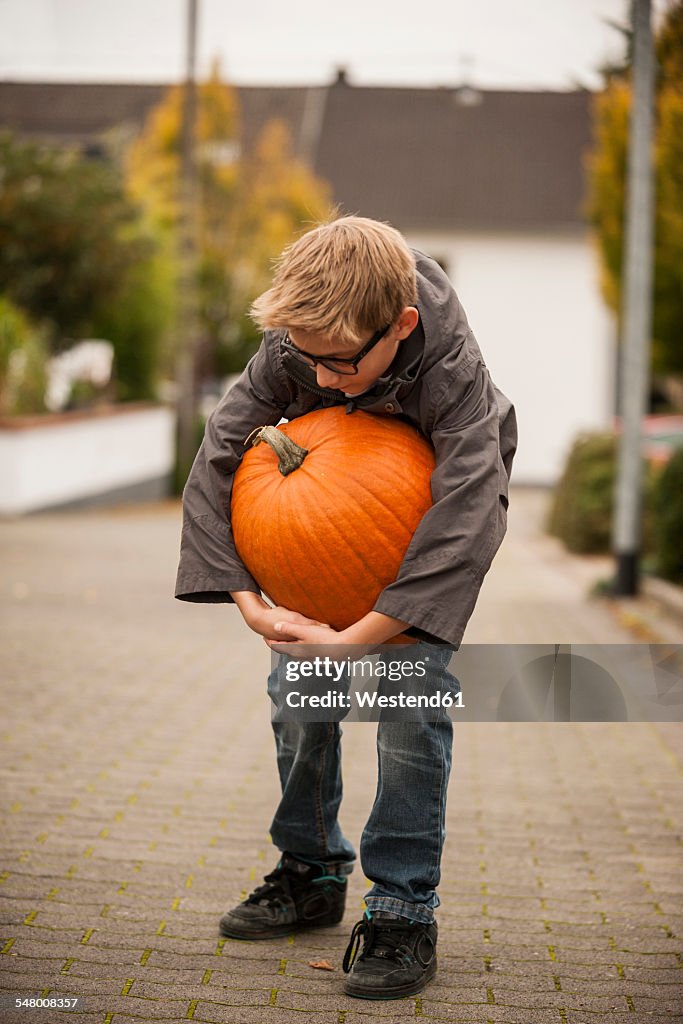 Boy trying to carry a big pumpkin