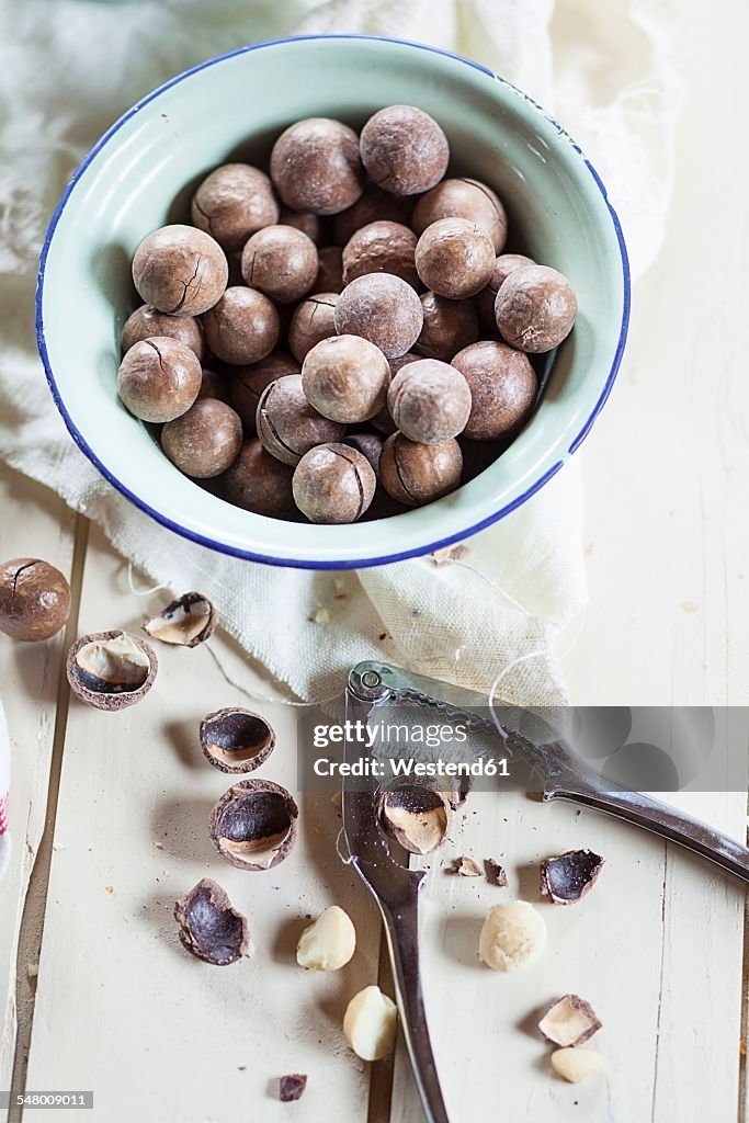 Roasted and salted macadamia nuts in shells, studio