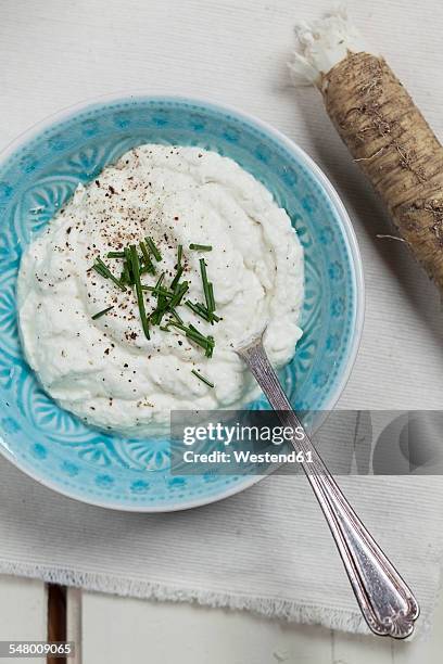 bowl of horseraddish sauce and horseraddish on cloth - horseradish stock pictures, royalty-free photos & images