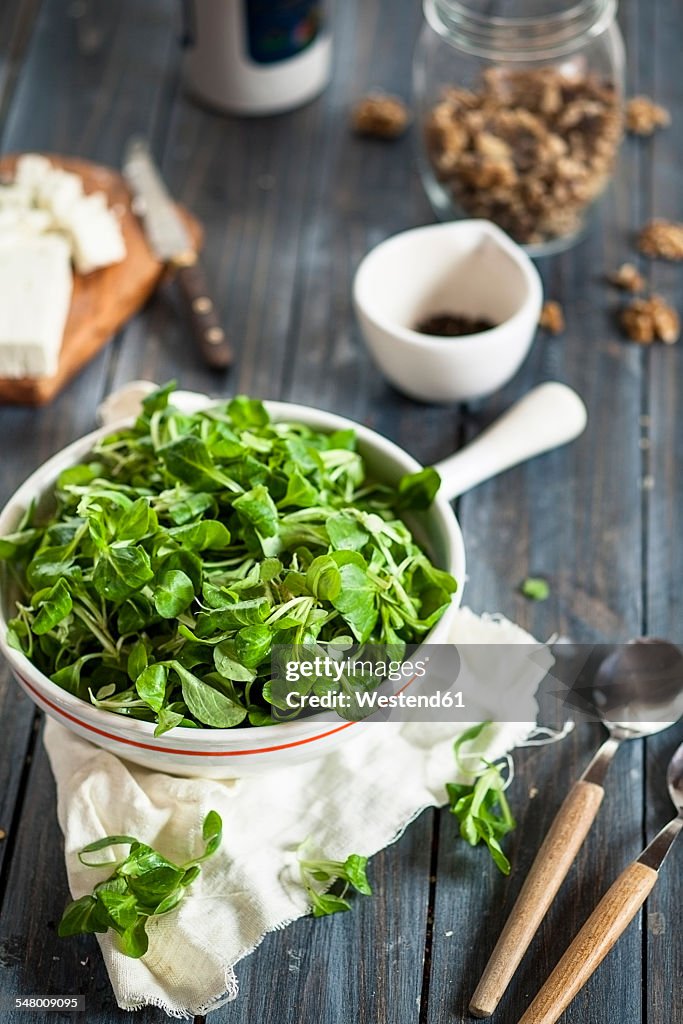 Bowl of lamb's lettuce, Valerianella locusta