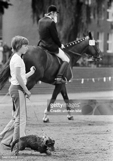 Human and animal, young boy walks a dog on a lead, in the background a dressage horse with horseman, aged 10 to 13 years, Ruhr area, North...