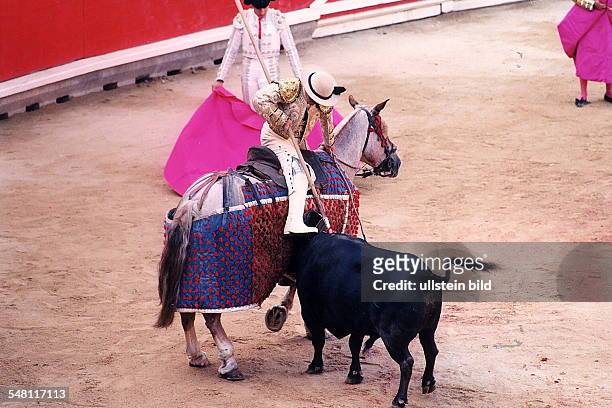 Szene einer Corrida: Ein Picador zu Pferde bringt dem Stier vor Kampfbeginn mit einer Lanze eine stark blutende und schwächende Wunde im Nacken bei -...