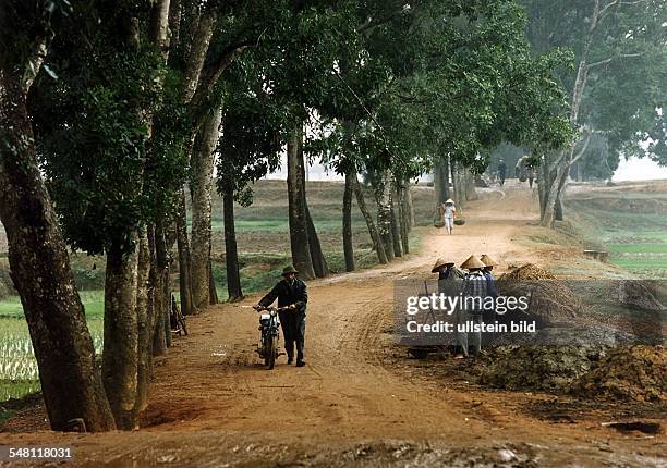 Arbeiter auf einem Damm zwischen Reisfeldern bei Hanoi - 1996