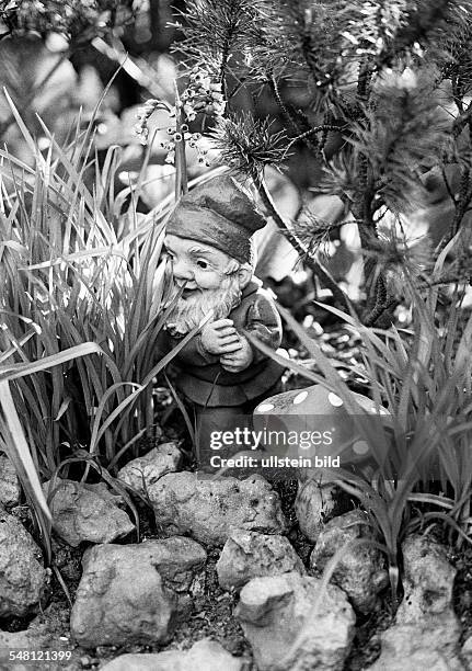 Garden gnome in a garden -