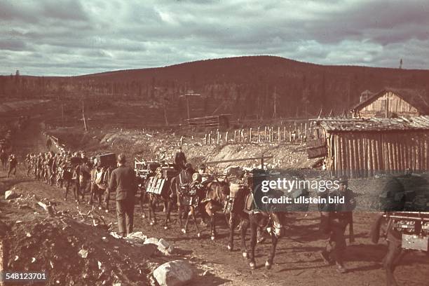 196 Lapland Army Stock Photos, HighRes Pictures, and Images Getty Images