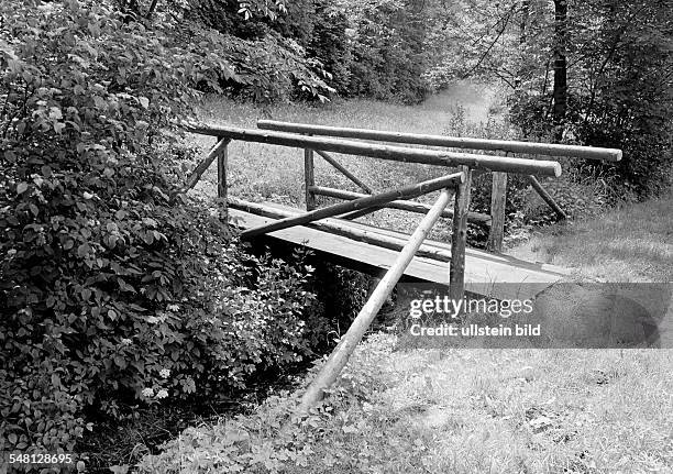 Symbolic, footbridge, wooden bridge across a brook, wood glade, Baden-Wuerttemberg -