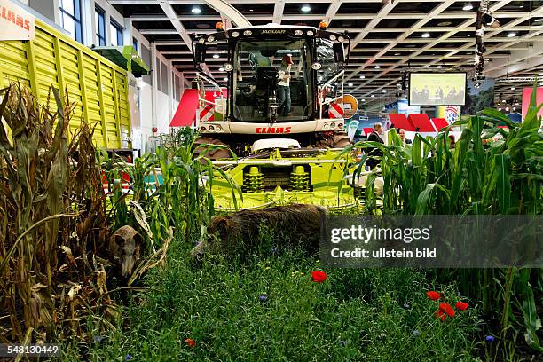 Germany Berlin Charlottenburg - International Geen Week Berlin 2011, Claas harvester -