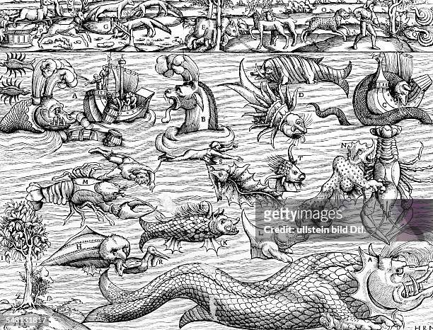 Land - und Meeresungeheuer n. 'Cosmographia Universalis' a.d. Jahr 1550. A,B Spritzende Walfische C Seeschlange D Seeungeheuer E Vielfrass F Rentiere...