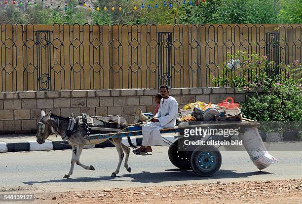 Egypt Upper Egypt Aswan - donkey cart