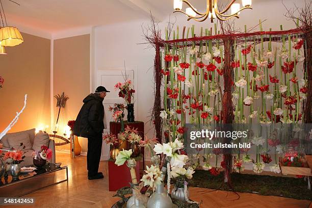 Germany Berlin - Amaryllis-Lounge of the flower shop Damerius at Auguststrasse